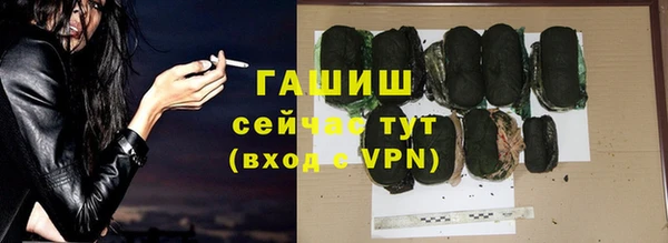 хмурый Алексин