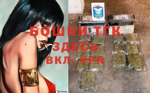 тгк Алзамай