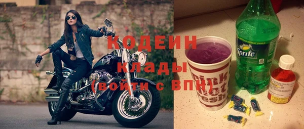 хмурый Алексин