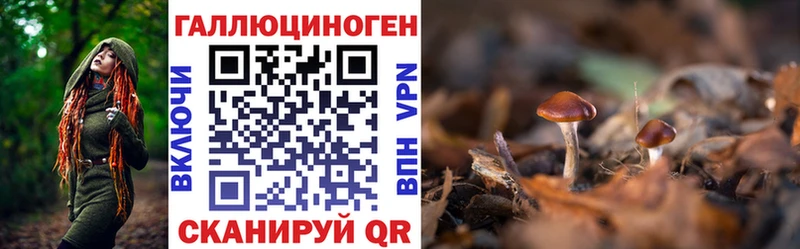 наркошоп MEGA зеркало Псилоцибиновые грибы GOLDEN TEACHER Вилюйск